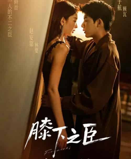 膝下之臣（56集全）赵安第＆吴宇航-紫橙资源网