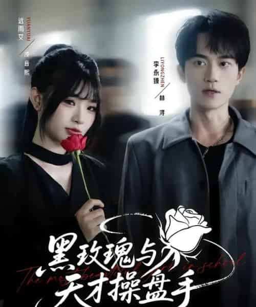 黑玫瑰与天才操盘手(81集全)远雨艾&李永臻-紫橙资源网