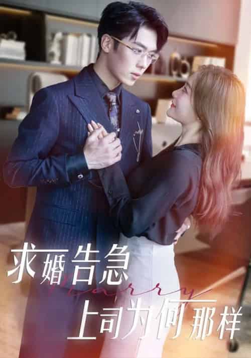 求婚告急上司为何那样（70集）孟璐＆卡戎-紫橙资源网