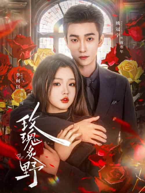 玫瑰炙野（59集）李柯以＆姚冠宇-紫橙资源网