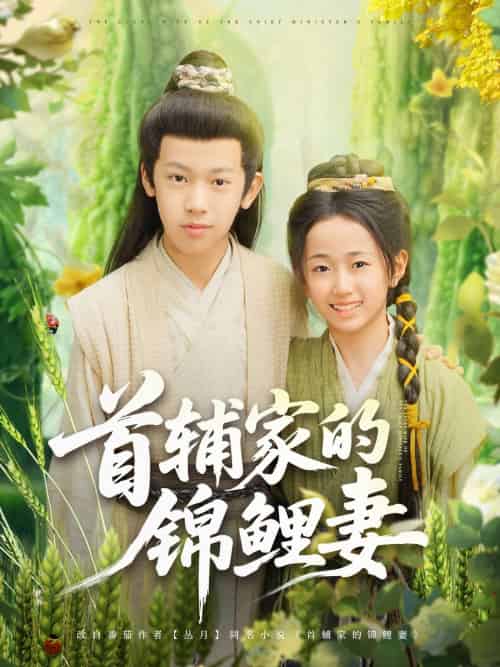 首辅家的锦鲤妻（82集）刘星辰＆杨景天-紫橙资源网