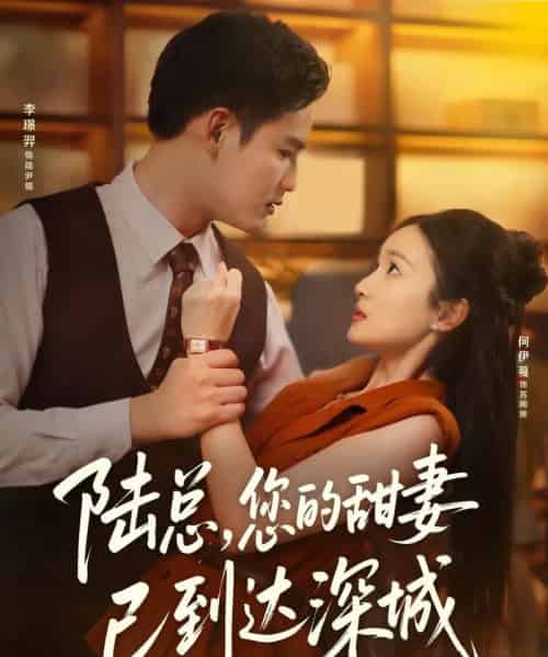 陆总您的甜妻已到达深城（62集）李璟羿＆何依蔓-紫橙资源网