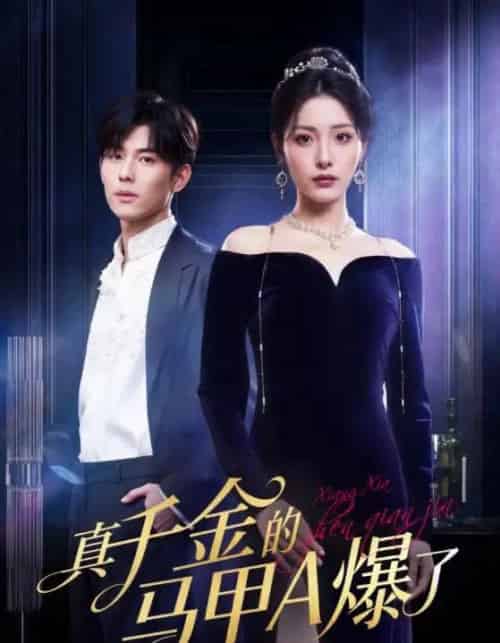 真千金的马甲A爆了&桑家有女灼耀归来(64集全)澄芓&蒋熠铭-紫橙资源网
