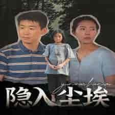 隐入尘埃（30集）-紫橙资源网