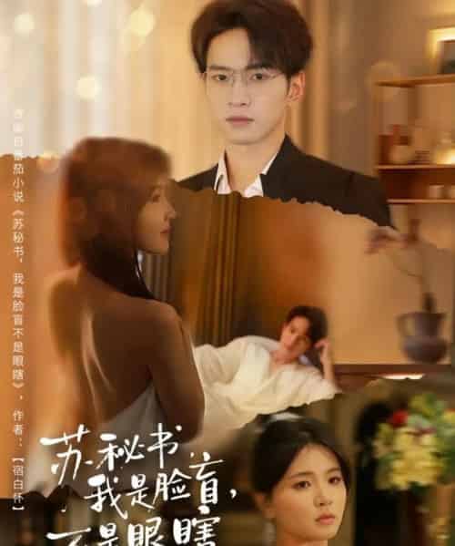 苏秘书，我是脸盲，不是眼瞎（80集全）朱礼仪＆张许焓-紫橙资源网