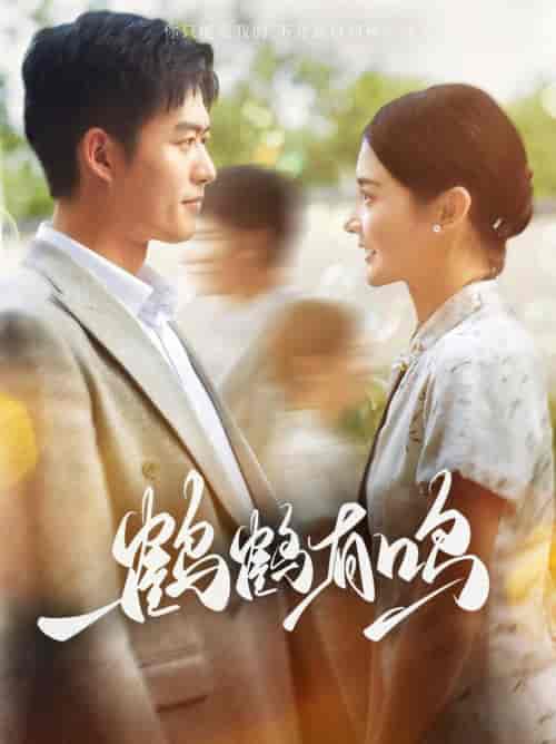 鹤鹤有鸣(87集全)舒童&觅七-紫橙资源网