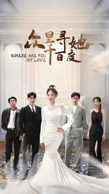 众里寻她千百度（78集）-紫橙资源网