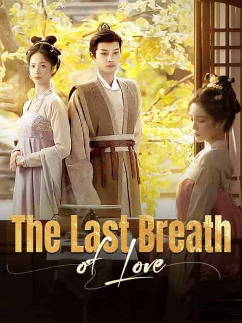 The Last Breath of Love（45集全）Tony＆Gray＆＆Elena＆Shaw-紫橙资源网
