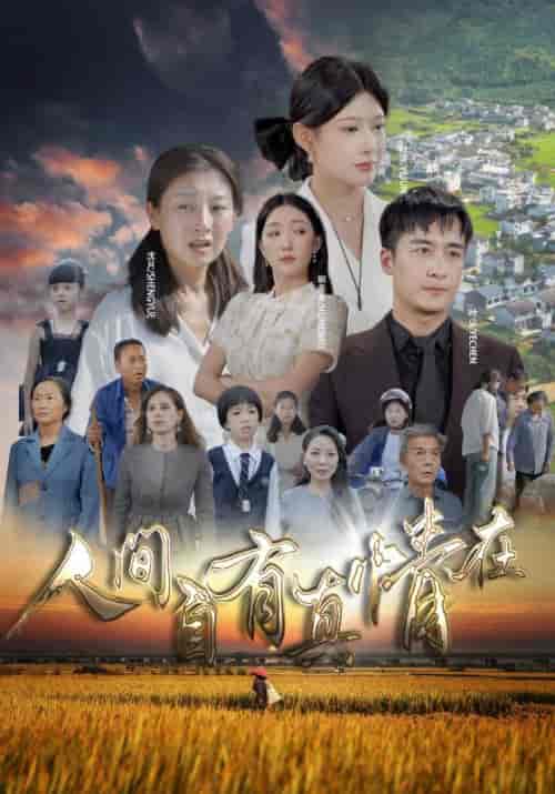 人间自由真情在（93集）-紫橙资源网