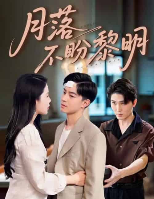 月落不盼黎明（64集全）丁海霞＆贺龙天-紫橙资源网