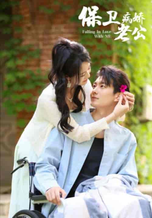 保卫病娇老公（82集）陈云汐-紫橙资源网