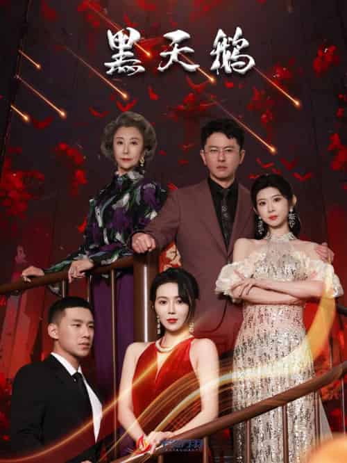 黑天鹅（51集全）孔莹莹-紫橙资源网