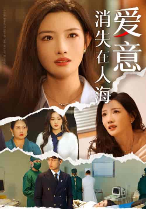 爱意消失在人海（60集全）许晏舟＆林冉-紫橙资源网