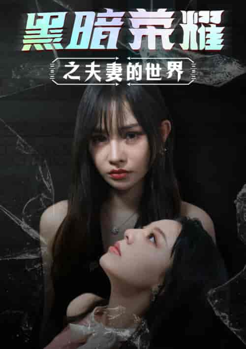 黑暗荣耀之夫妻的世界（30集）-紫橙资源网