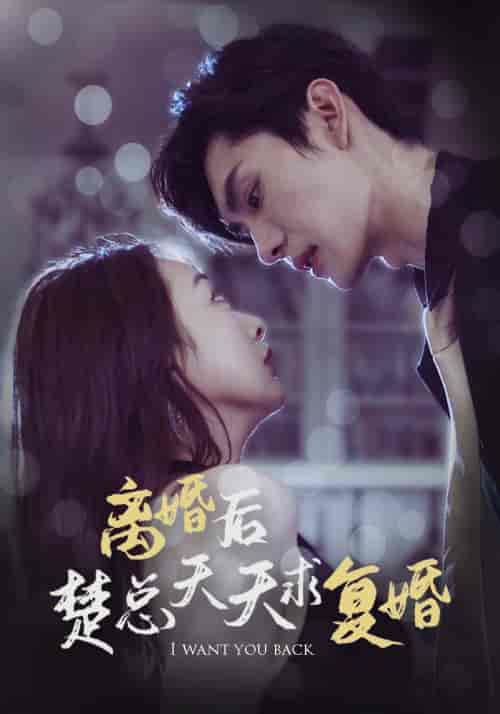 离婚后楚总天天求复婚（87集）-紫橙资源网