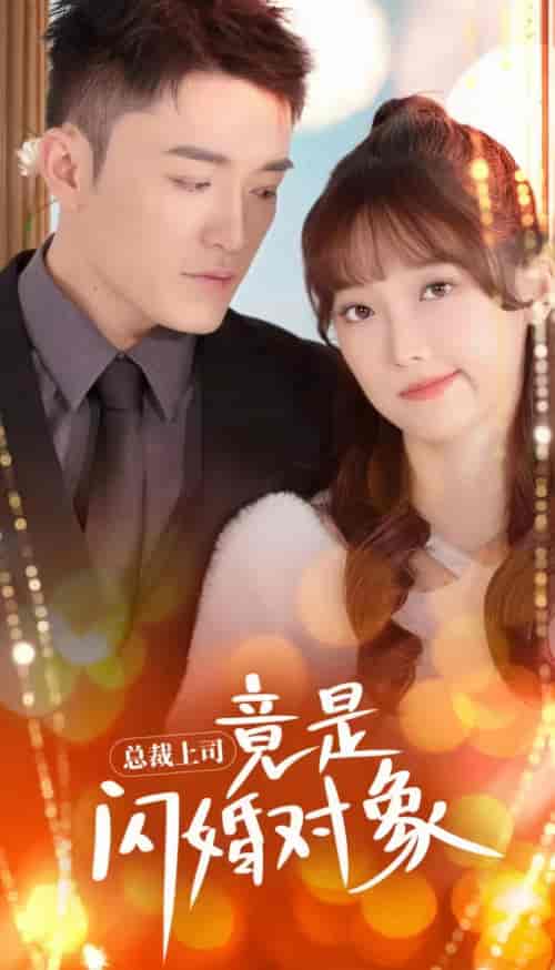 总裁上司竟是闪婚对象(误入婚途)(87集)-紫橙资源网