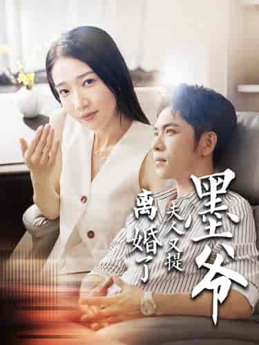 墨爷夫人又提离婚了(110集)张凤仪-紫橙资源网