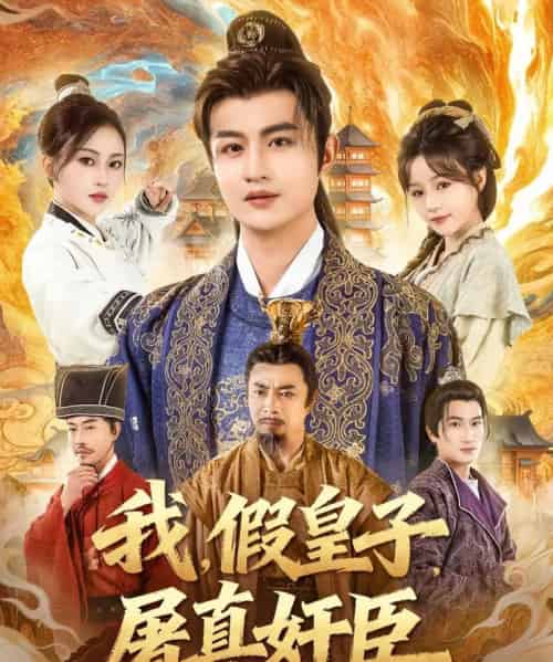 我假皇子屠真奸臣（63集全）宋俊懿＆潘林莉-紫橙资源网