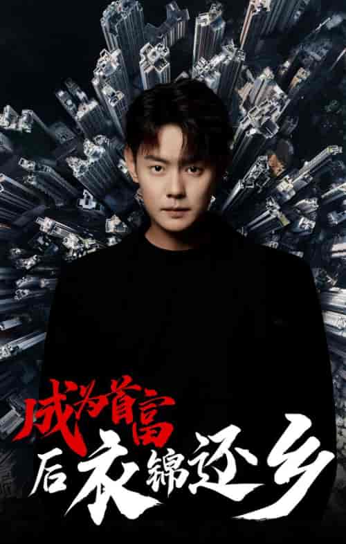 成为首富后衣锦还乡（30集）代代-紫橙资源网