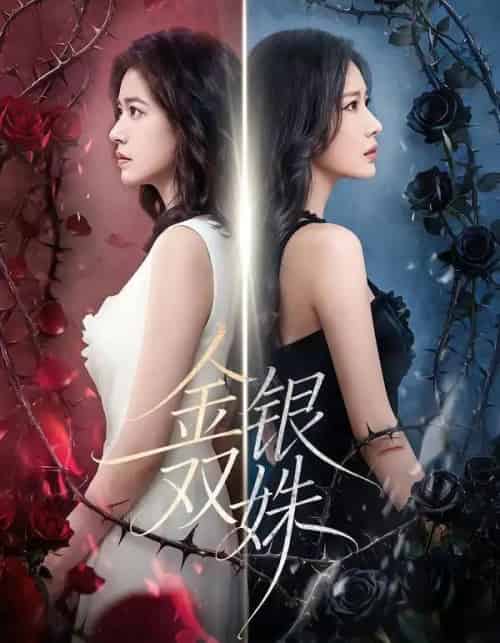 金银双姝（80集全）王艺霏＆徐霄-紫橙资源网