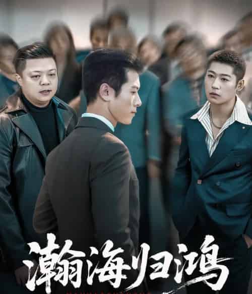 瀚海归鸿(74集全)林思彤&赖艺-紫橙资源网