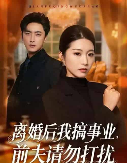 离婚后我搞事业，前夫请勿打扰（49集全）肖琳＆白浩＆穆晚-紫橙资源网