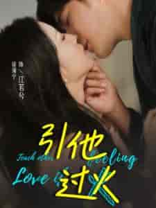 引他过火（40集全）-紫橙资源网