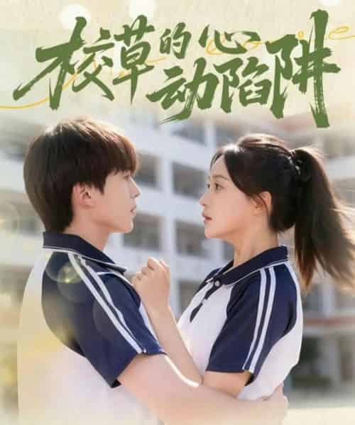 校草的心动陷阱（60集全）许丹＆夏侯懿涵-紫橙资源网