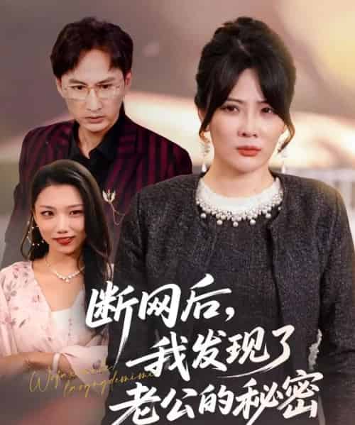 断网后我发现了老公的秘密（57集全）苏月＆英姿-紫橙资源网