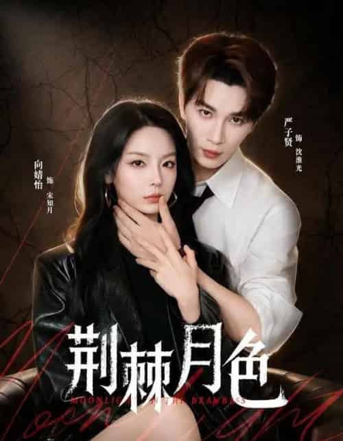 荆棘月色(86集全)严子贤&向婧怡-紫橙资源网