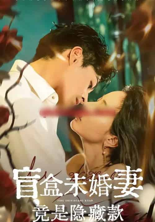 盲盒未婚妻竟是隐藏款（75集全）陈钰洁＆李芮峤＆杜昱泽-紫橙资源网