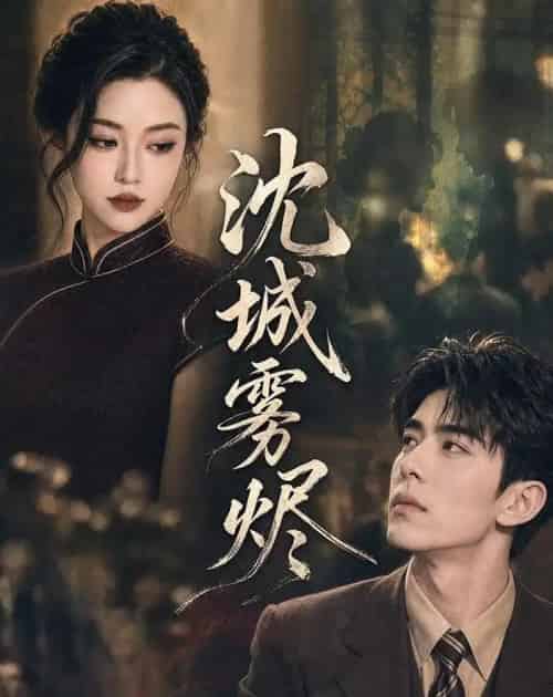 沈城雾烬（71集全）AI-紫橙资源网