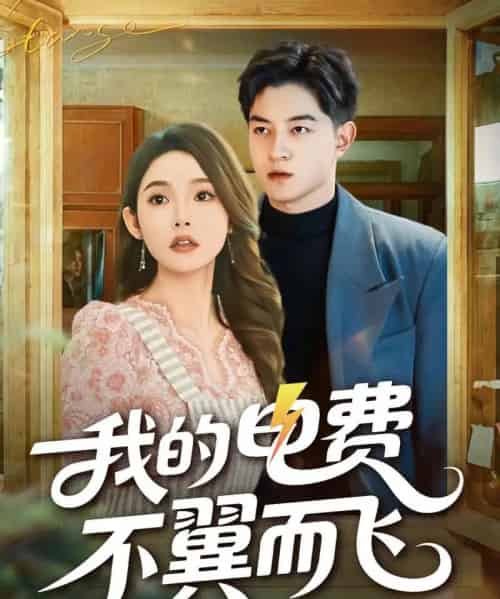 我的电费不翼而飞（60集全）贺龙天＆杨莯-紫橙资源网