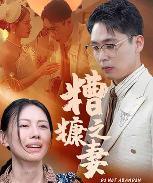 糟糠之妻（50集）-紫橙资源网