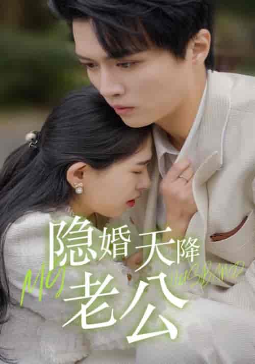 隐婚天降老公（85集全）陆赫霆＆苏贝-紫橙资源网