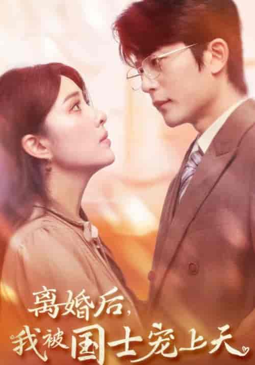 离婚后我被国士宠上天（64集全）于伦豪＆阳蕾-紫橙资源网