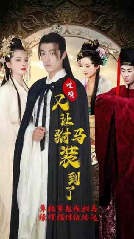 回到古代不开挂干啥（100集）-紫橙资源网