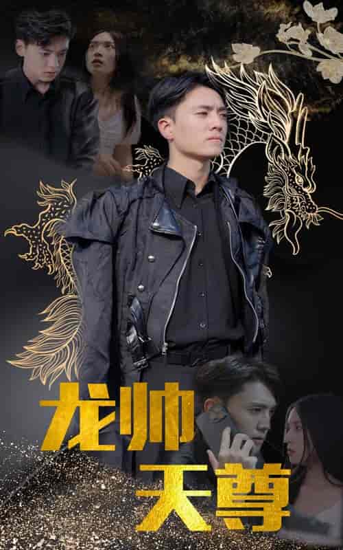 龙帅天尊（95集）-紫橙资源网