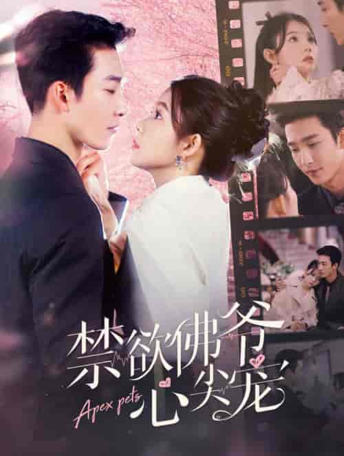 禁欲佛爷心尖宠（101集全）姚冠宇＆林籽蓉-紫橙资源网