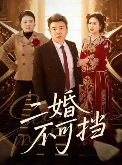 二婚不可挡（36集全）任志宏＆杨一-紫橙资源网
