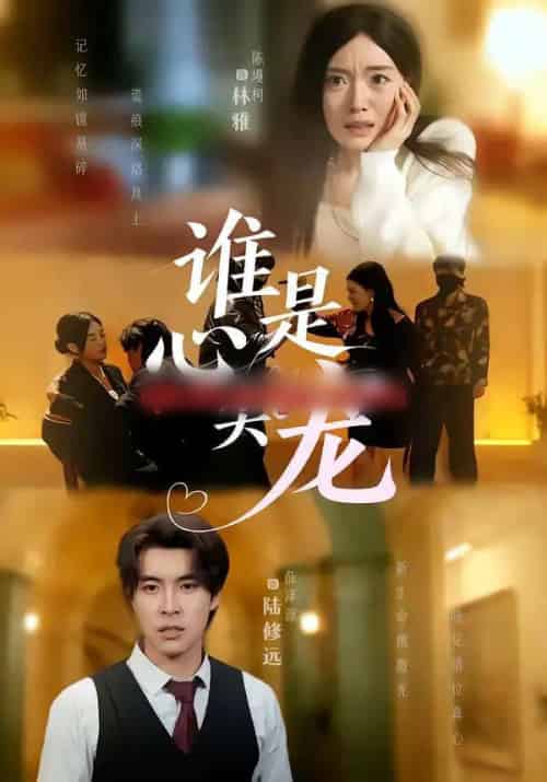 谁是心尖宠（60集全）薛泽源＆陈墁柯-紫橙资源网