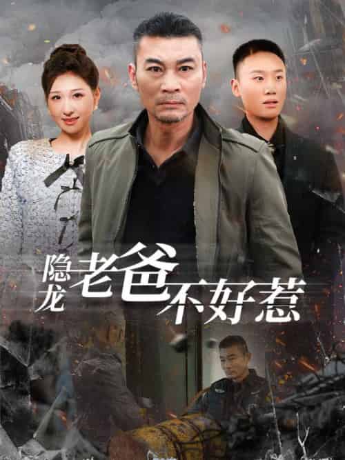 隐龙老爸不好惹（82集全）-紫橙资源网