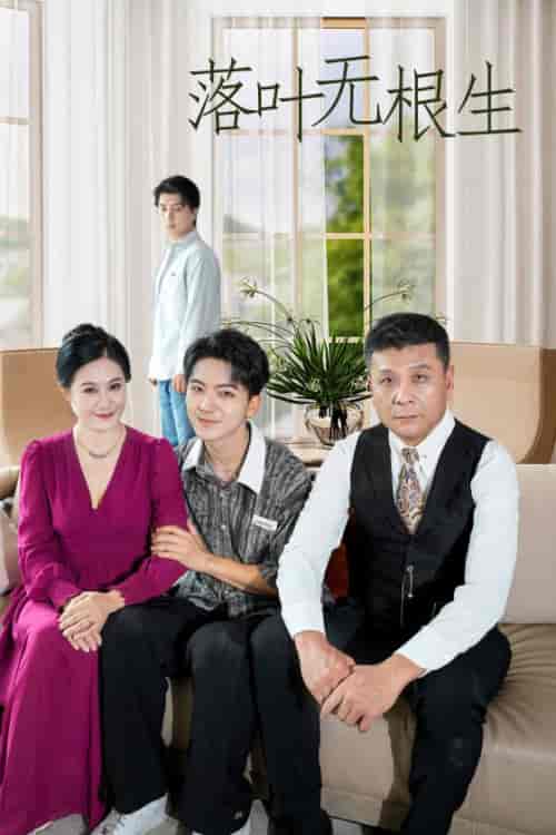 落叶无根生（45集全） - 紫橙短剧