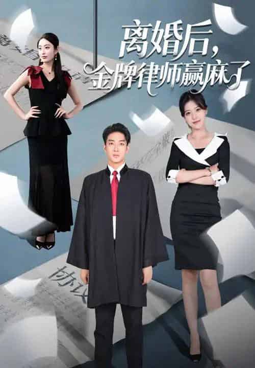 离婚后金牌律师赢麻了（51集）罗东旭＆生馨月-紫橙资源网