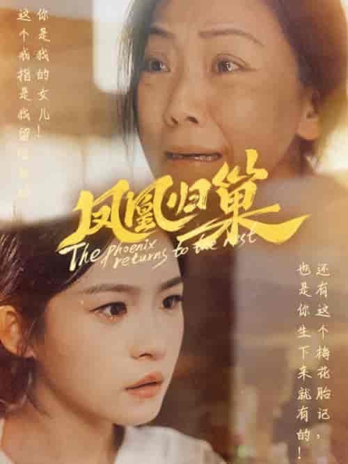 凤凰归巢（69集）-紫橙资源网