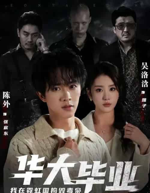 华大毕业,我在霓虹国捣毁毒枭(68集全)陈外&吴洛浛-紫橙资源网