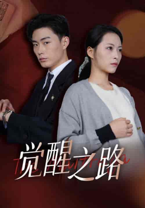 觉醒之路（33集全）颜良＆谭花-紫橙资源网