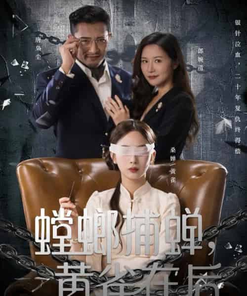 螳螂捕蝉,黄雀在后(65集全)彭千玲&郑天阳-紫橙资源网