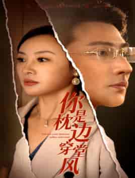 你是枕边穿堂风(78集)-紫橙资源网