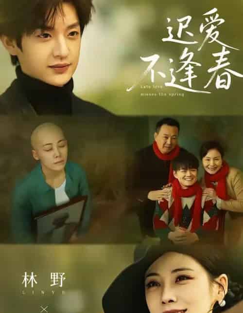 迟爱不逢春（62集全）魏澊＆钟小淇-紫橙资源网